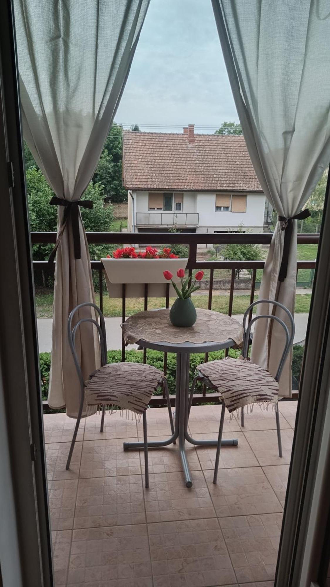 Palić Dora Apartman מראה חיצוני תמונה