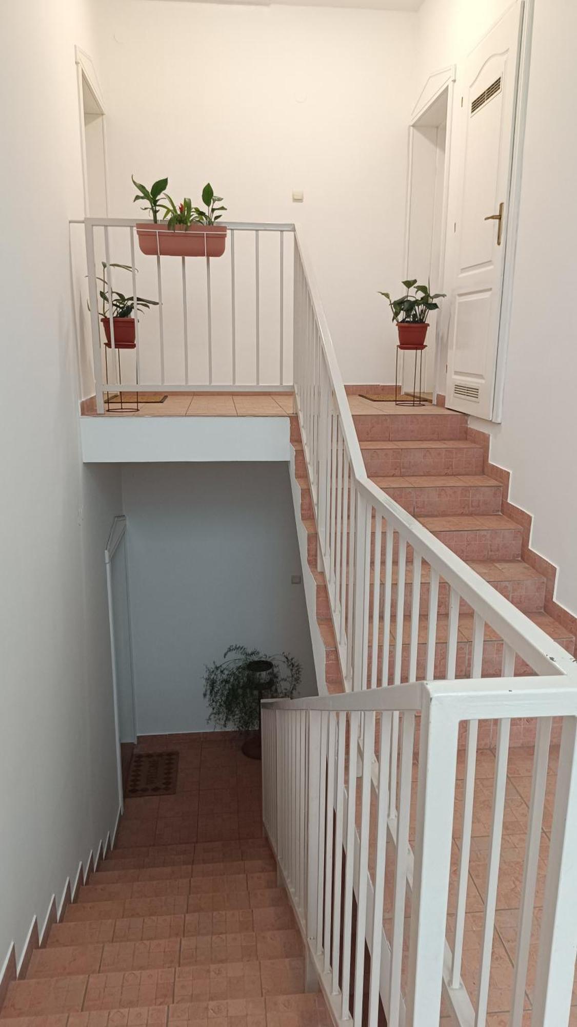 Palić Dora Apartman מראה חיצוני תמונה